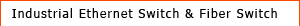 Industrial Ethernet Switch & Fiber Switch