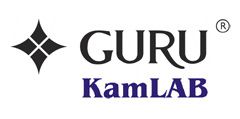 GURU Control Systems